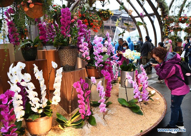 Floral Art Expo Kicks off in Chongqing