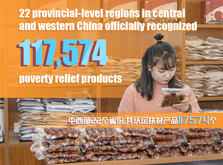China's Poverty Alleviation Efforts in Numbers